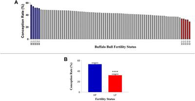 Identification of protein candidates in spermatozoa of water buffalo (Bubalus bubalis) bulls helps in predicting their fertility status